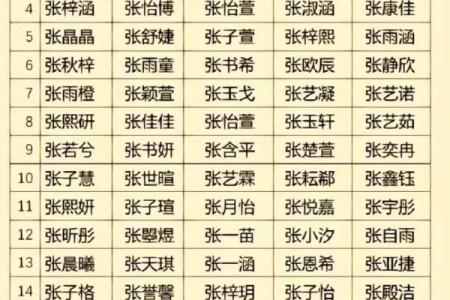 费姓女孩名字大全-费姓女孩起名字大全-费姓名字大全姓名