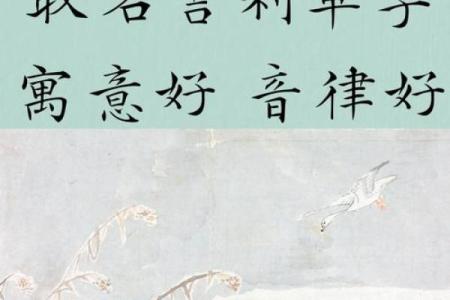 带土字旁的男孩名字-名字大全-姓名学-华易算命网姓名