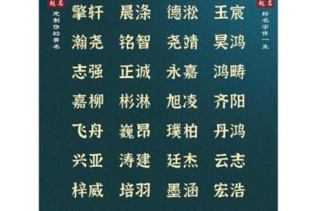2019年3月31号寅时出生的男孩要怎么起名字姓名