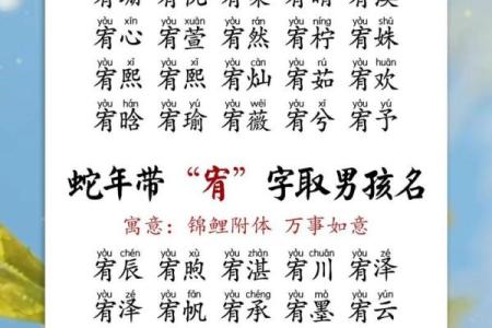 8月份出生的属蛇男孩起什么名字好姓名