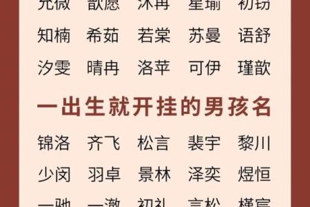2019年5月15号卯时出生的男孩起名时要注意什么姓名