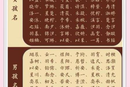 10月份出生的属兔男孩该怎样取名字姓名