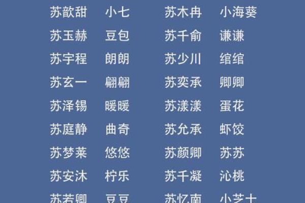 苏姓男孩名字大全-苏姓男孩起名字大全-苏姓名字大全姓名