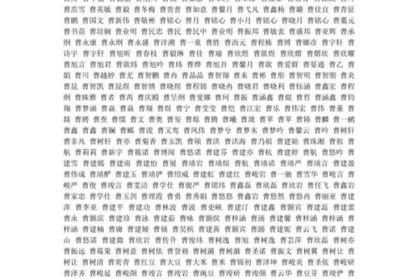 曹姓男孩名字大全-曹姓男孩起名字大全-曹姓名字大全姓名