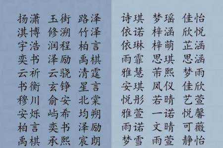 2019年3月27号亥时出生的男孩应该起什么样的名字姓名