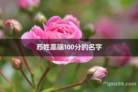 苏姓男孩名字大全-苏姓男孩起名字大全-苏姓名字大全姓名