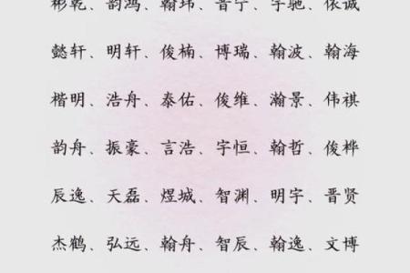 2019年6月17号卯时出生的男孩要怎么起名字姓名