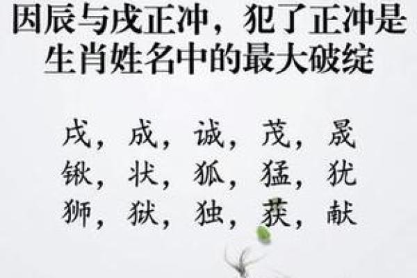 体育公司起名大全-名字大全-姓名学-华易算命网姓名