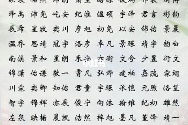 2019年6月9号子时出生的男孩要怎么起名字姓名