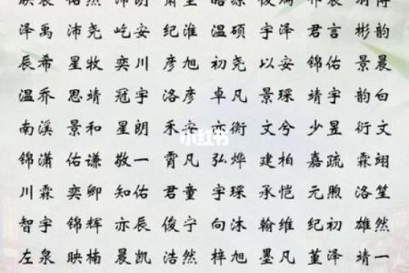 2019年6月9号子时出生的男孩要怎么起名字姓名