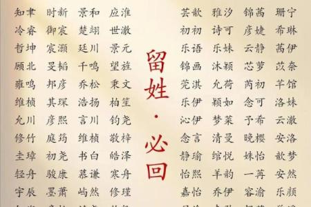 2019年6月3号卯时出生的男孩应该起什么样的名字姓名