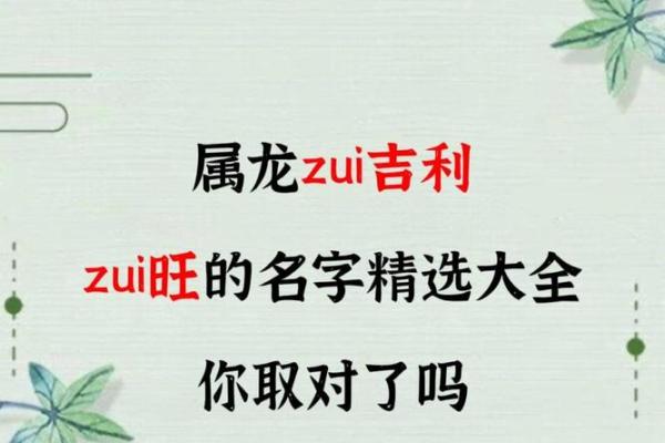 8月份出生的属龙男孩该如何取名字姓名