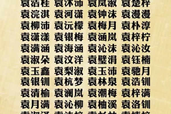 袁姓男孩名字大全-袁姓男孩起名字大全-袁姓名字大全姓名