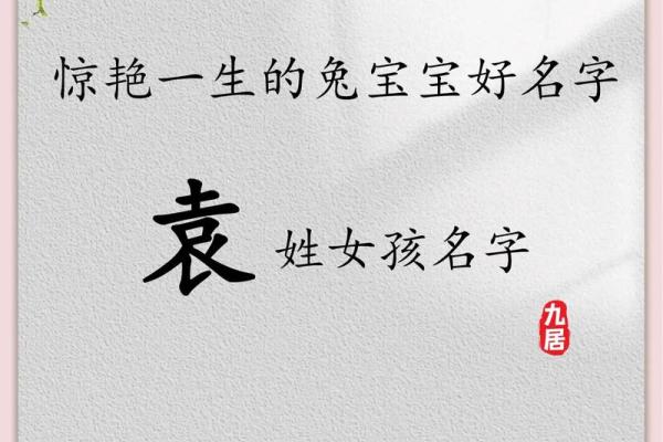 袁姓男孩名字大全-袁姓男孩起名字大全-袁姓名字大全姓名