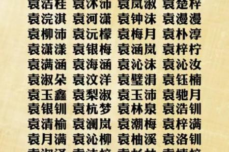 袁姓男孩名字大全-袁姓男孩起名字大全-袁姓名字大全姓名