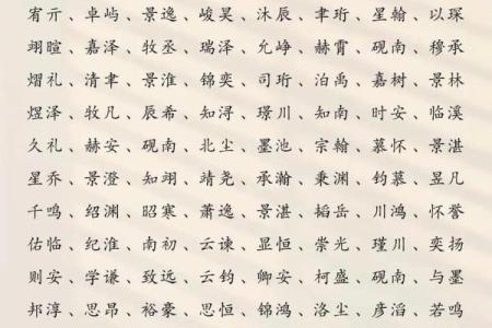 2019年5月13号丑时出生的男孩如何起名姓名