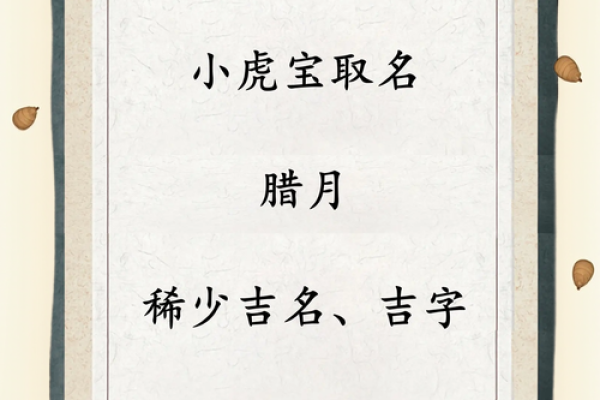 晚上8点出生的属虎男孩如何起名，宜用什么字姓名