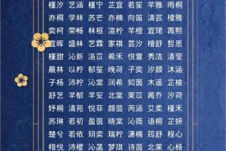 下午出生的属羊男孩应该起什么名，宜用什么字姓名