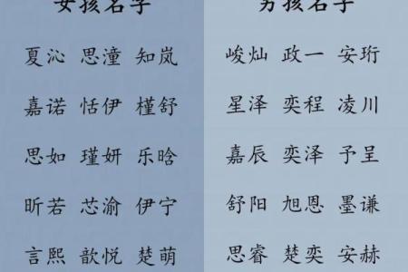 2019年5月21号卯时出生的男孩要怎么起名字姓名