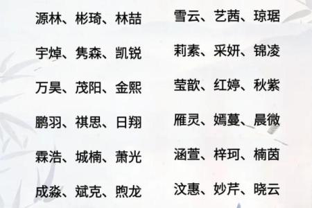如何给属蛇酉时出生的男孩起名,适合什么字姓名