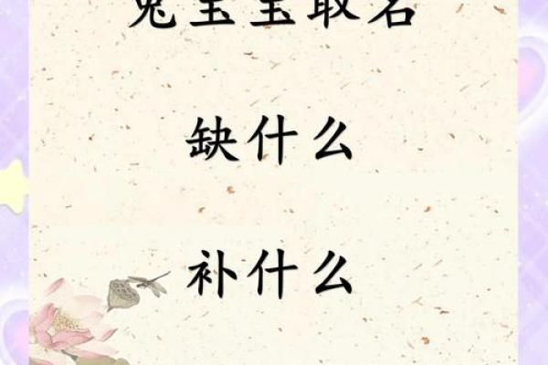 2011年兔宝宝取名的10项思路参考-姓名学-姓名分析姓名 2011年兔宝宝取名的10项思路参考-姓名学-姓名分析姓名