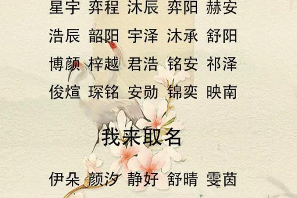 6月份出生的属羊男孩起什么名字好姓名 6月份出生的属羊男孩起什么名字好姓名