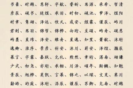 属龙巳时出生的男孩怎么取名,适合用什么字姓名