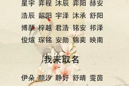 6月份出生的属羊男孩起什么名字好姓名