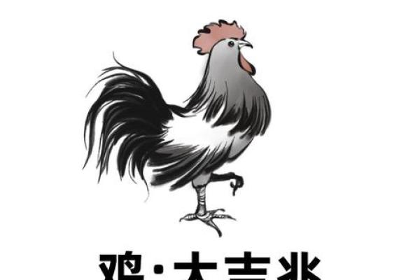 中午出生的属鸡男孩取名字用什么字合适姓名 中午出生的属鸡男孩取名字用什么字合适姓名