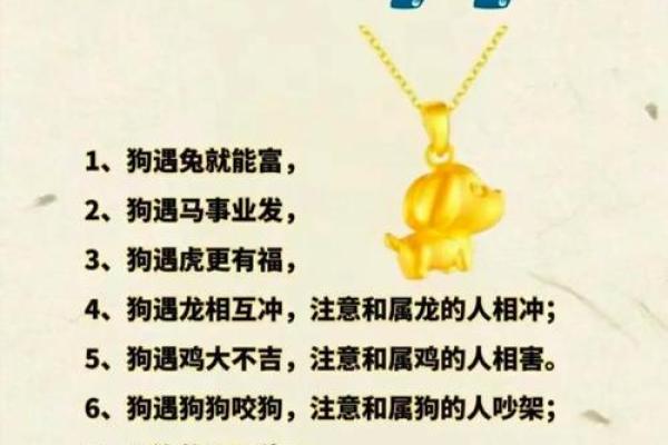 2018年男狗宝宝取什么名字最好？取名常用方法有哪些？-华易网姓名