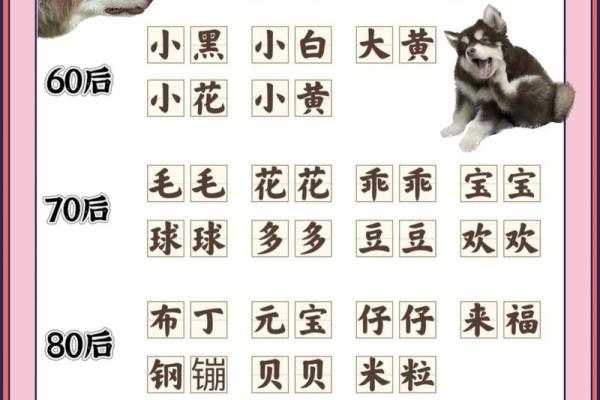 2018年男狗宝宝取什么名字最好？取名常用方法有哪些？-华易网姓名