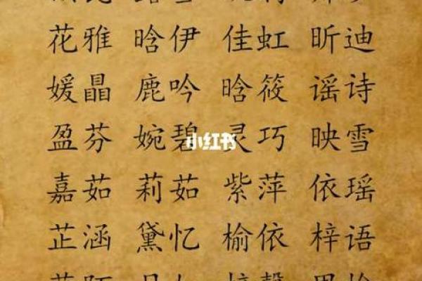 晚上8点出生的属鼠男孩的取名技巧姓名 晚上8点出生的属鼠男孩的取名技巧姓名