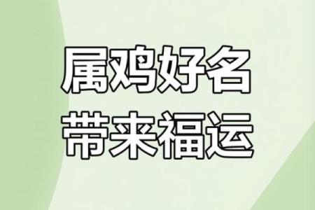 中午出生的属鸡男孩取名字用什么字合适姓名