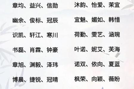 2019年5月4号子时出生的男孩如何起名姓名