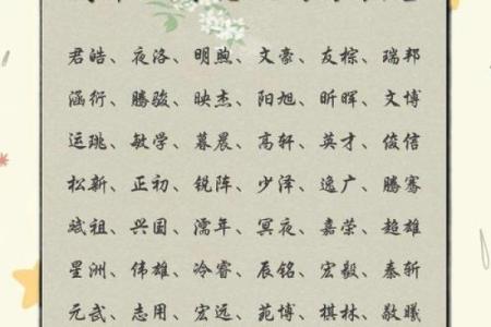 2019年4月16号丑时出生的男孩起名方法姓名
