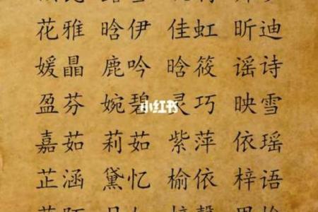 晚上8点出生的属鼠男孩的取名技巧姓名
