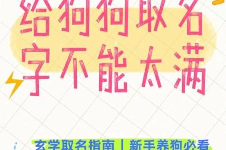 晚上出生的属狗男孩如何取名,应用什么字姓名