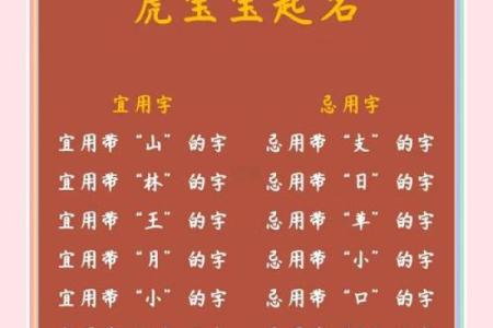 傍晚6点出生的属虎男孩如何起名，宜用什么字姓名