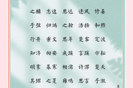 2019年6月26号卯时出生的男孩起名方法姓名