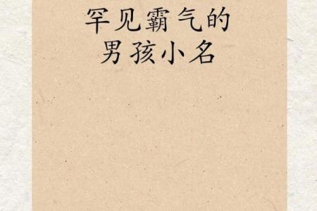 2019年3月17号卯时出生的男孩应该起什么样的名字姓名