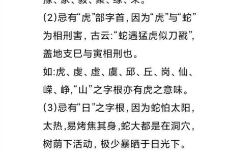 晚上12点出生的属蛇男孩怎样起名，宜用什么字姓名