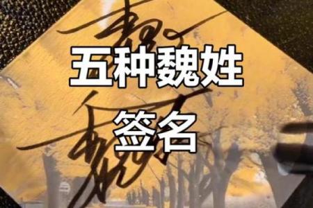 魏姓男孩名字大全-魏姓男孩起名字大全-魏姓名字大全姓名