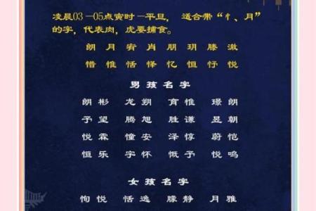 晚上出生的属虎男孩应该如何起名,宜用什么字姓名