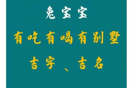 2月份出生的属兔女孩起什么名字好姓名