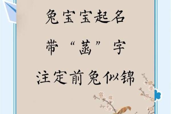 兔宝宝起名用字的禁忌-姓名学-姓名分析姓名