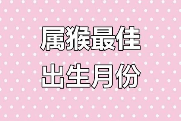 6月份出生的属猴男孩什么名最好-姓名