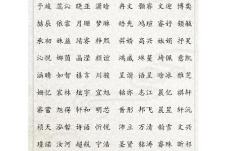 2019年3月27号巳时出生的男孩应该起什么样的名字姓名