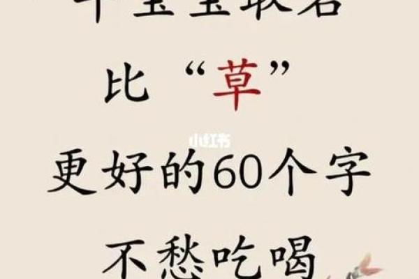 晚上12点出生的属牛男孩适合用什么字取名姓名
