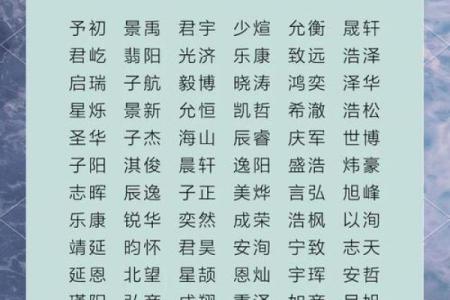 2019年3月31号辛时出生的男孩要怎么起名字姓名