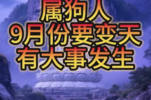 九月份出生的属狗男孩应该如何取名字姓名 九月份出生的属狗男孩应该如何取名字姓名